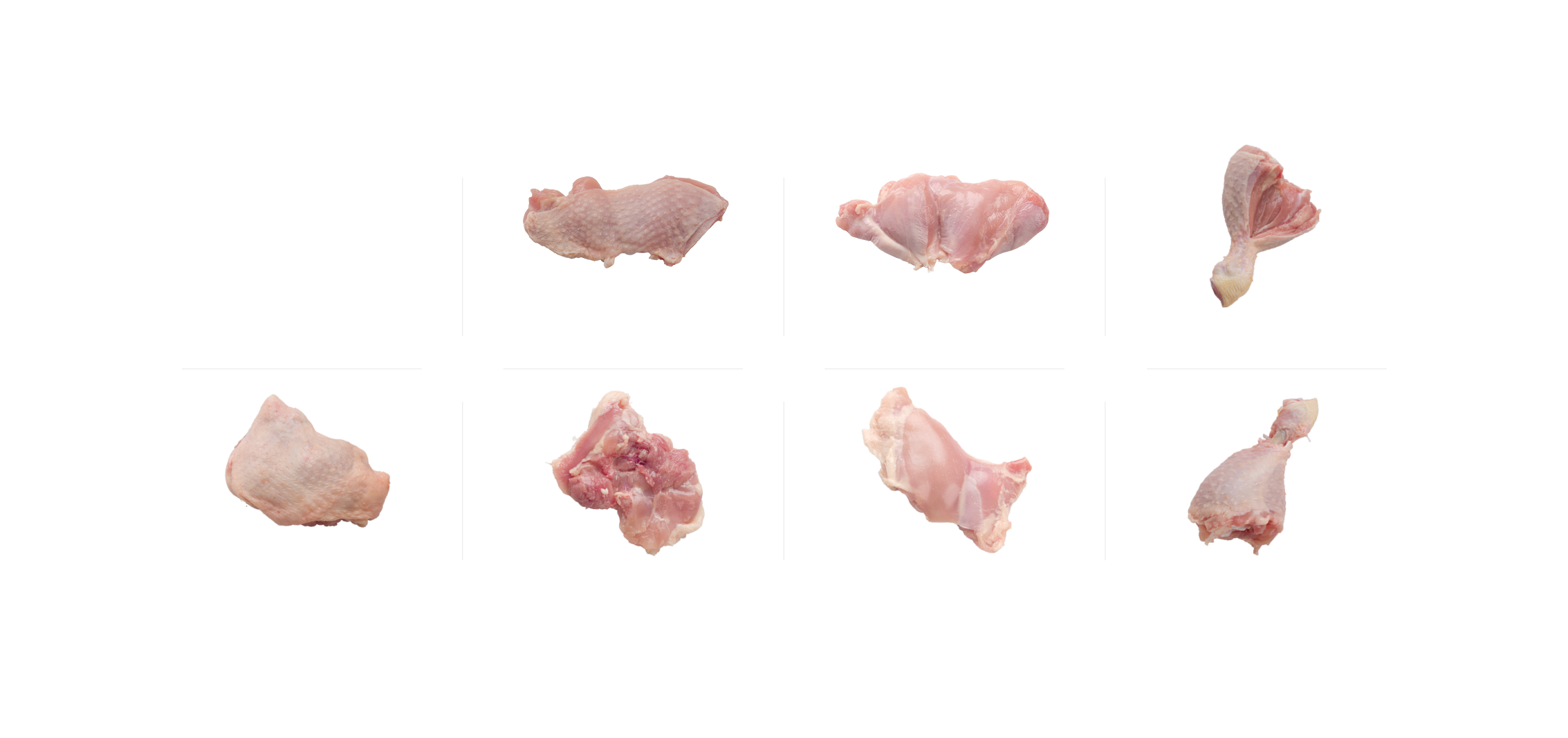 Overview Endproduct Dark Meat Landing
