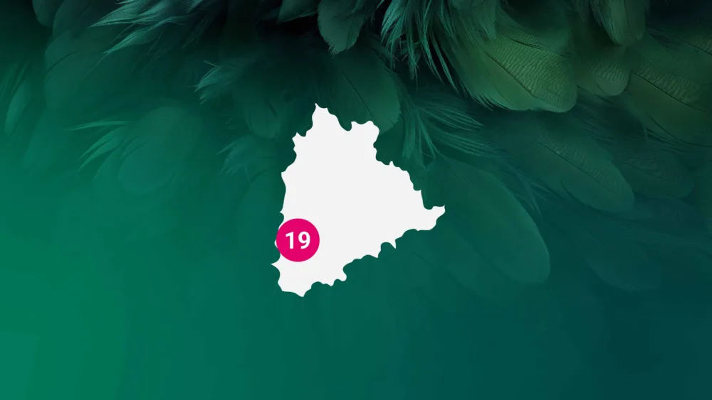 Meyn India - Map Telangana