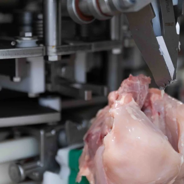 Meyn ready to roll out Rapid Plus M5.0 Breast Deboner worldwide - Meyn (EN)