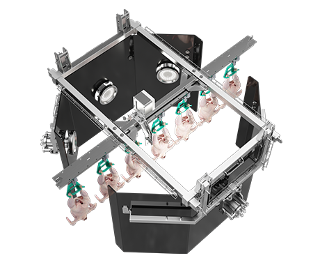 Multi Vision Quality Grading - Meyn (EN)