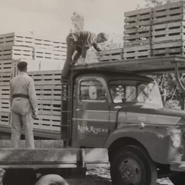 Meyn Celebrates 65 Years of Innovation in Poultry Processing - Meyn (EN)