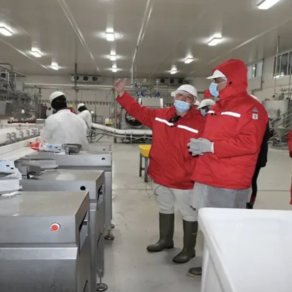Revolutionizing Poultry Processing in Jamaica - Meyn (EN)